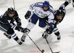 足球直播-可发电健身器材实物图片展示及其节能应用价值